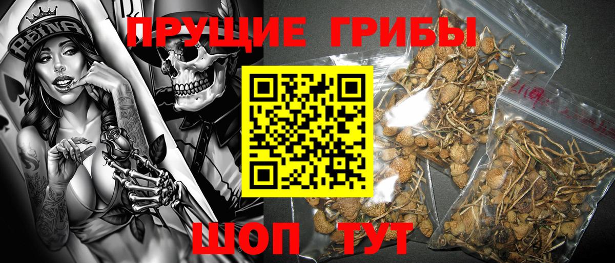 Галлюциногенные грибы ЛСД Протвино