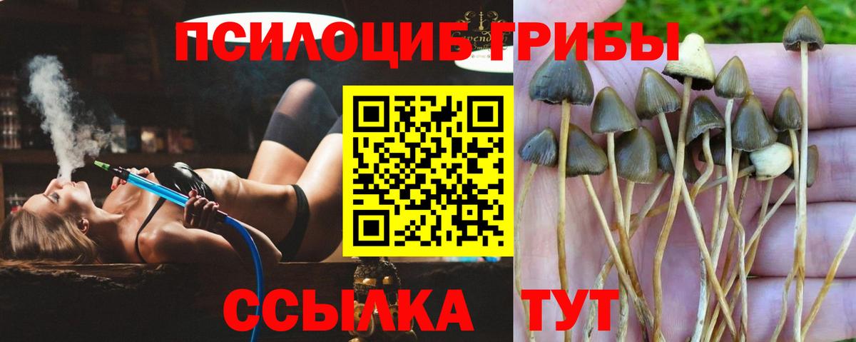наркотики  Галлюциногенные грибы MAGIC MUSHROOMS  Вход с VPN  Протвино 